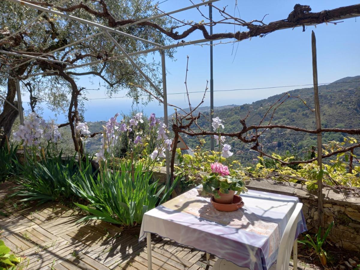 La Casa Di Elda Apartment Sanremo Bagian luar foto